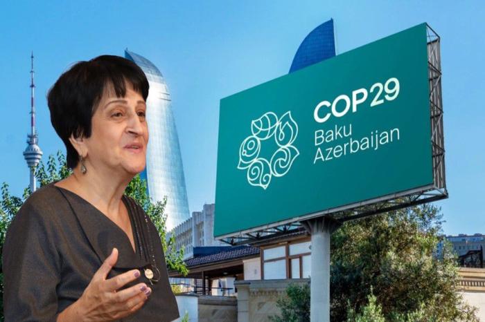NGO Chairperson: "Joint projects and financial support are essential for solving climate problems"