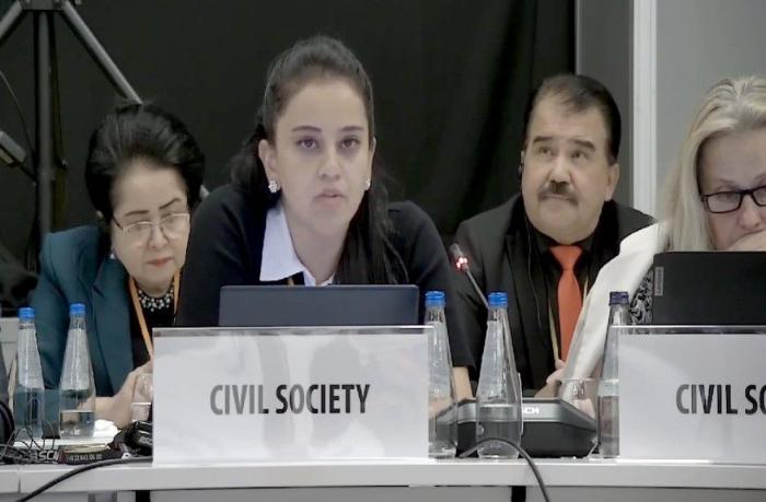 Azərbaycanda QHT-lər proseslərə öz töhfələrini verirlər – Nədimə Rəhimli ATƏT-in sessiyasından səsləndi