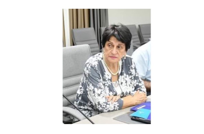 İradə Rizazadə: "QHT-nin Fəaliyyətlərinin Mətbuat Vasitəsilə Yayılmasına Böyük Ehtiyacı var idi"