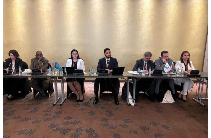 ATƏT çərçivəsində Qərbi Azərbaycanla əlaqədar yan tədbir keçirilib 